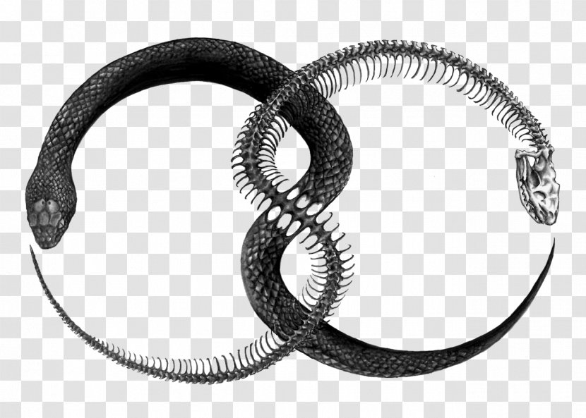 Ouroboros Tattoo Drawing Snake Transparent PNG