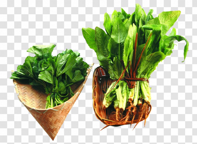 Chard Spring Greens Herb Food - Spinach - Seasonal Vegetables Transparent PNG