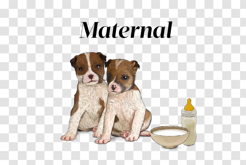Dog Breed Puppy Canidae Snout - Mammal - Maternal Transparent PNG