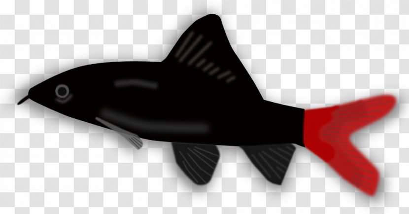 Ornamental Fish Koi Southern Platyfish Clip Art - Carp Transparent PNG