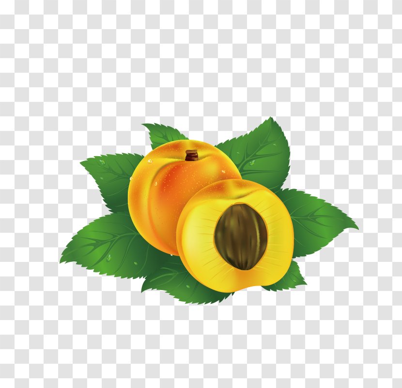 Juice Fruit Peach Clip Art - Sunflower Transparent PNG