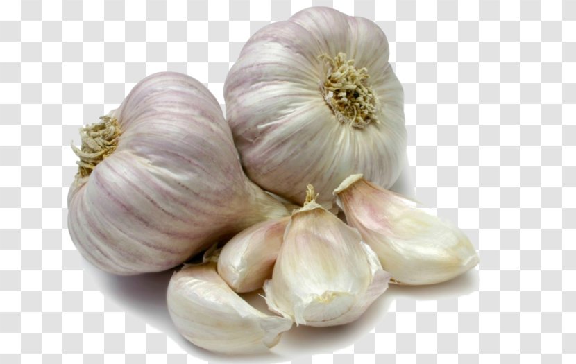 Vegetable Garlic Scape Crostino Onion Transparent PNG