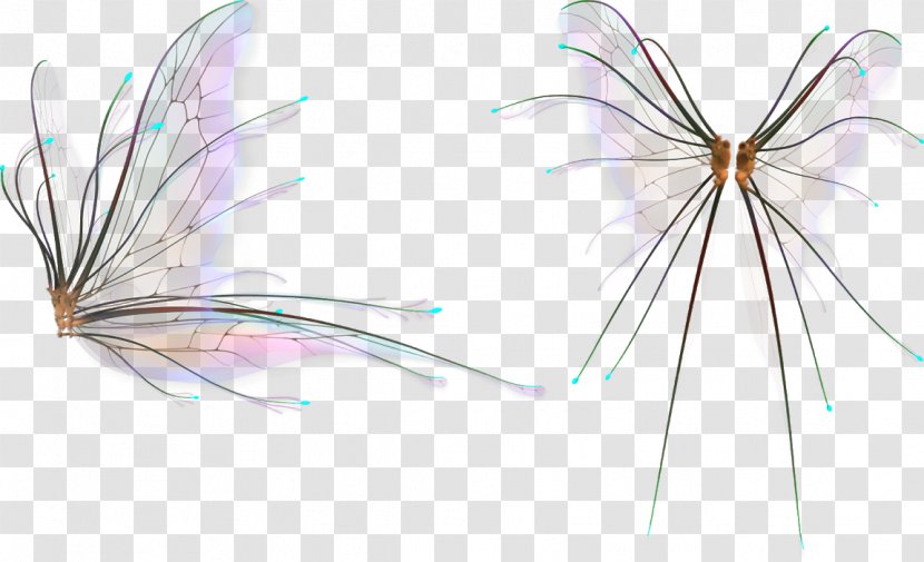 Insect PhotoScape GIMP - Gimp Transparent PNG