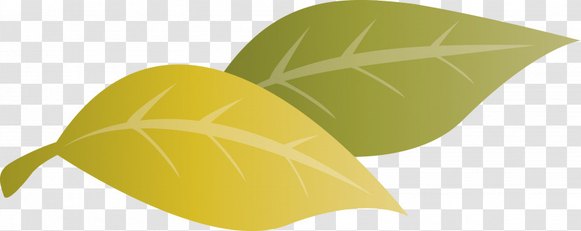 Green Fruit Transparent PNG