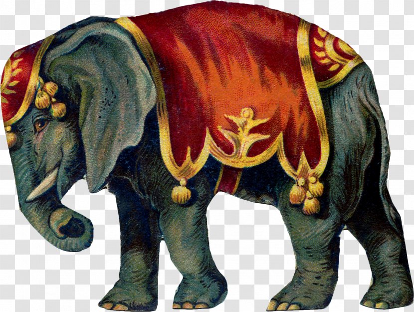 Circus Elephant Clip Art - Cattle Like Mammal Transparent PNG