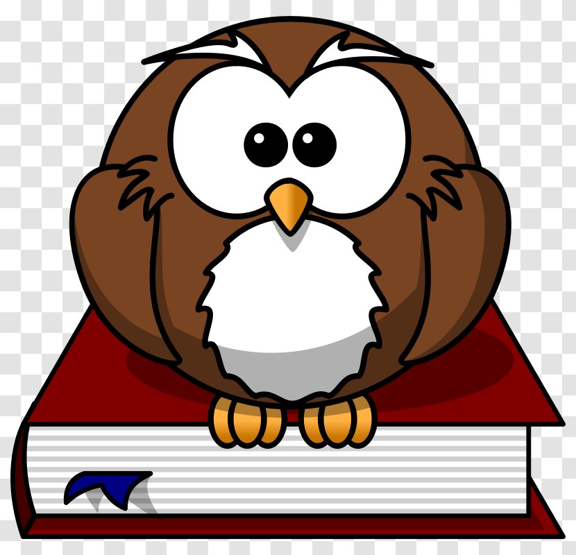 Owl Cartoon Drawing Clip Art - Animation - Picture Of Transparent PNG