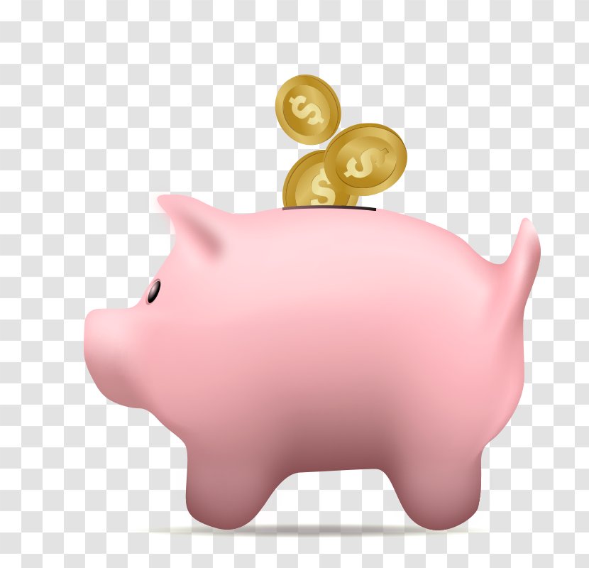 Domestic Pig Piggy Bank Saving - Nose - Cartoon Transparent PNG