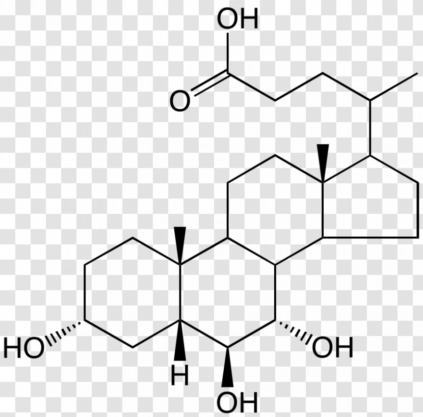 Chenodeoxycholic Acid Muricholic Ursodiol - Watercolor - Pregnan Transparent PNG