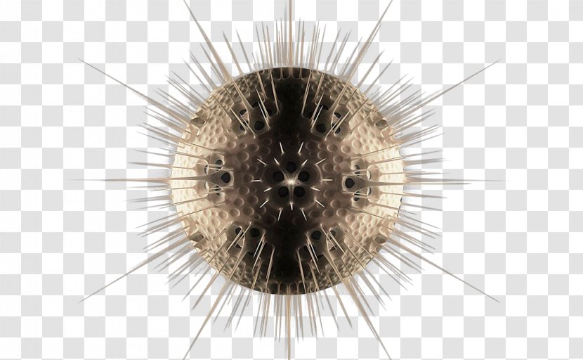Photography Circle - Long Stabbed Space Planet Transparent PNG