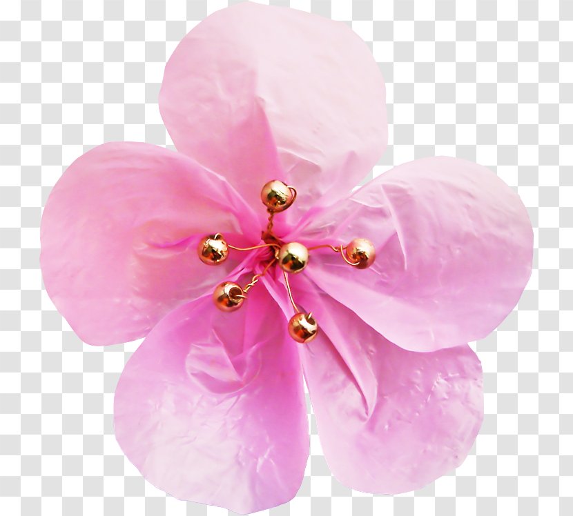 Pink Flower Cartoon - Orchids - Jewellery Moth Orchid Transparent PNG