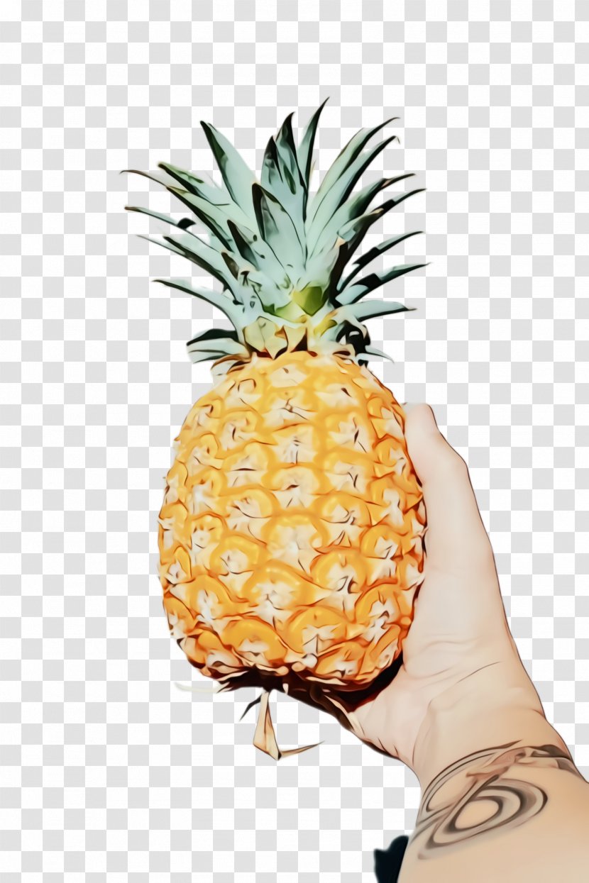 Pineapple - Fruit - Orange Yellow Transparent PNG