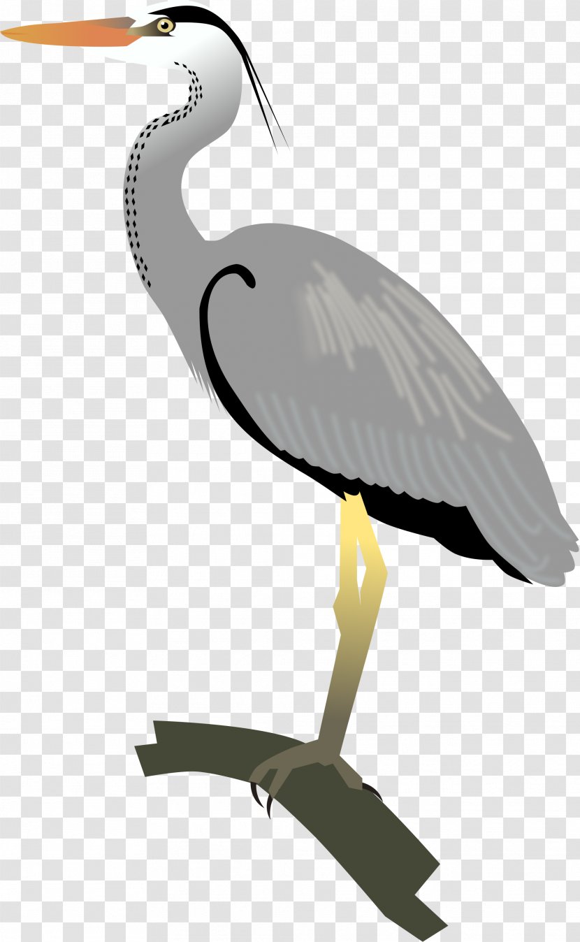 Egret Great Blue Heron Crane Bird - Like Transparent PNG