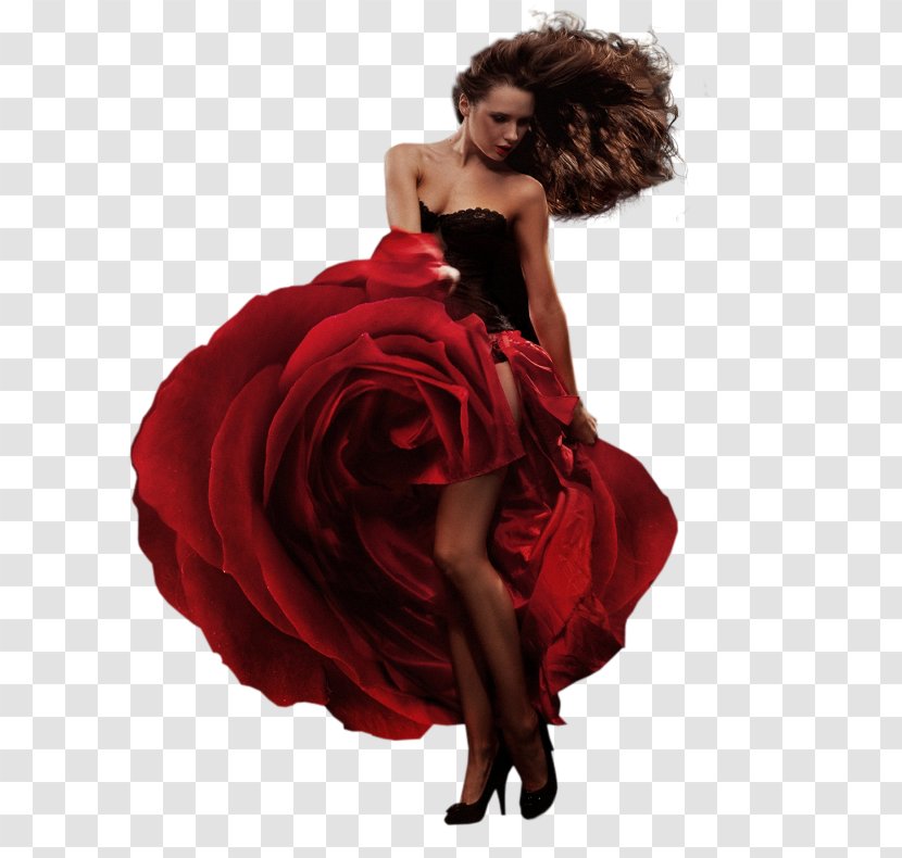 Dance Party Flamenco Dress - Cartoon Transparent PNG