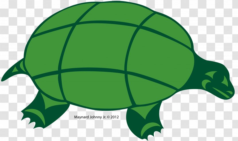 Tortoise Sea Turtle Gray Wolf Green Transparent PNG