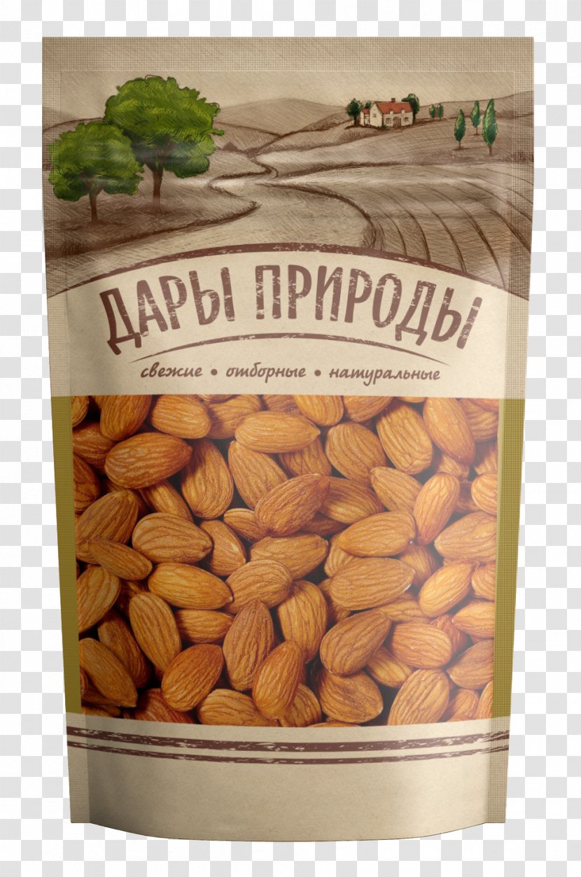 Saint Petersburg Nut Sunflower Seed Dried Fruit Moscow - Food Transparent PNG