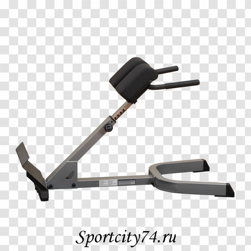 Hyperextension Roman Chair Bench Exercise Equipment Dumbbell Transparent PNG