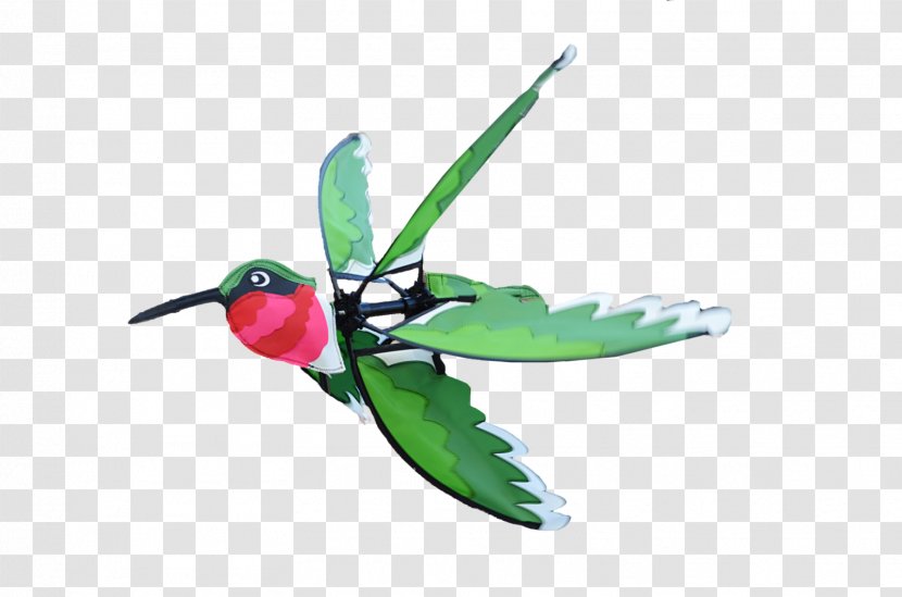 Hummingbird M Insect Wing Beak - Leaf - Artistic Wind Transparent PNG