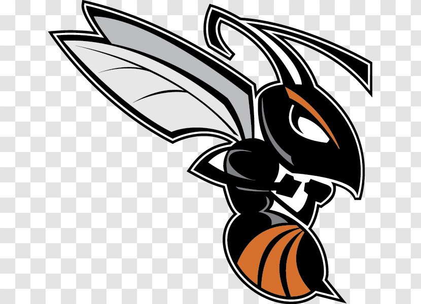 Kalamazoo College Hornets Football Trine University Michigan Intercollegiate Athletic Association Olivet - Moths And Butterflies - Hornet Transparent PNG