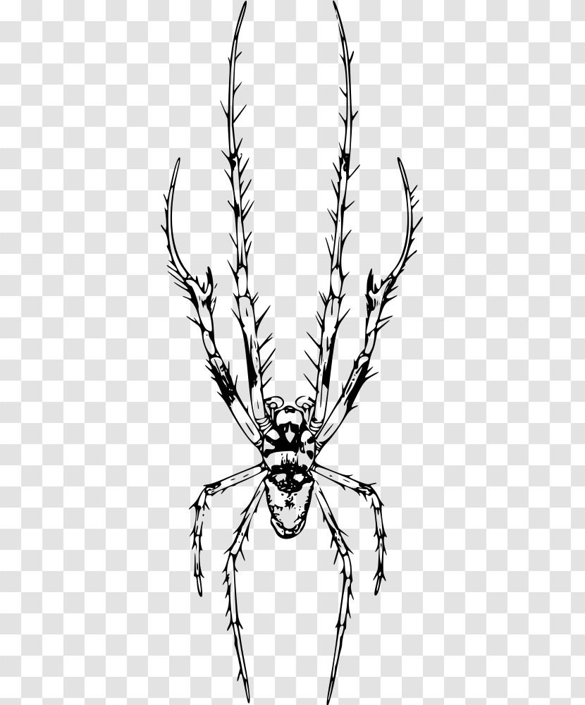 Head Line Art Line Branch Insect Transparent PNG