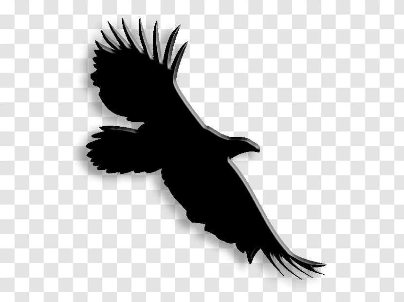 Pollution Green Building Bird Architectural Engineering - Black And White - Eagle Logo Transparent PNG