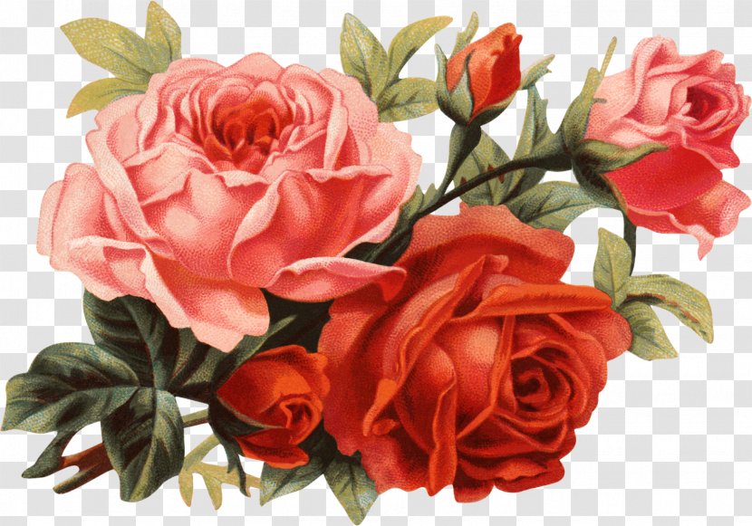 Flower Bouquet Clip Art - Floristry - Rose Transparent PNG