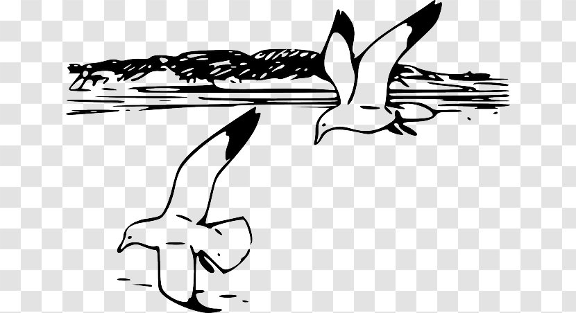 Shore Gulls Beach Clip Art - Hand - Birds Sea Transparent PNG