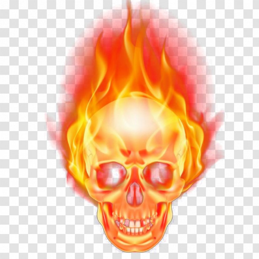 Flame Vector Graphics Skull Image Transparent PNG