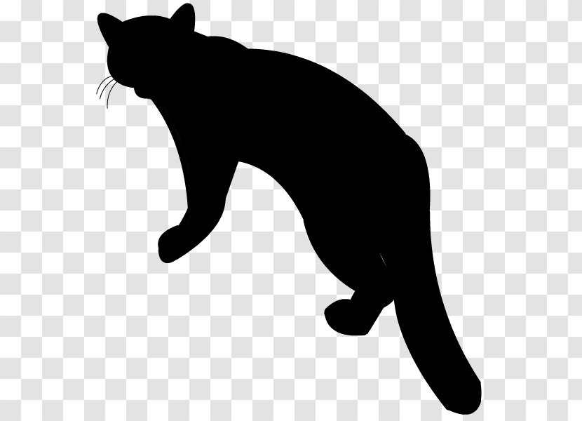 Cat Small To Medium-sized Cats Black Tail - Whiskers Transparent PNG