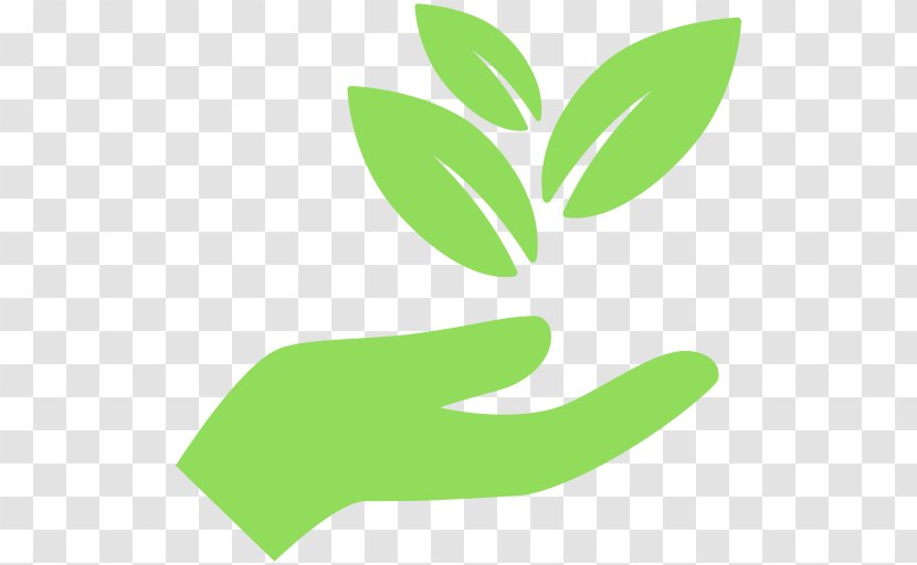 Sustainability Business Organization - Plant - Hand Holding Transparent PNG