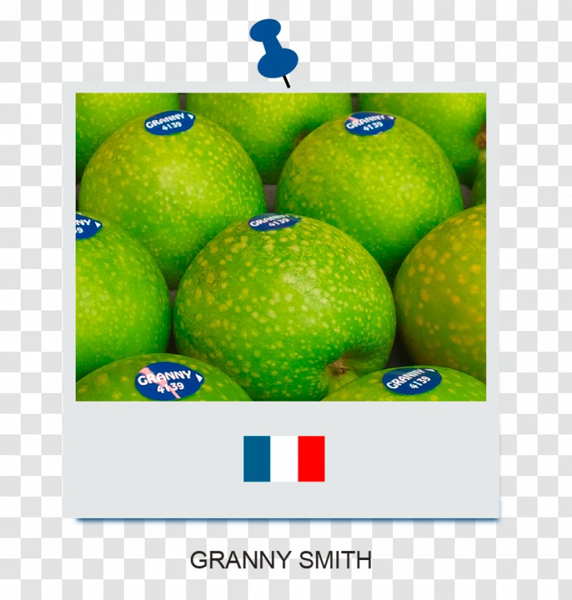 Persian Lime Iranian Cuisine Desktop Wallpaper Granny Smith Transparent PNG