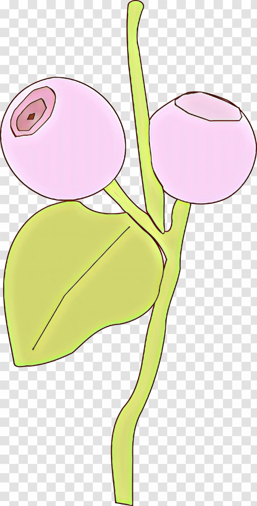 Cartoon Flower Pink Plant Plant Stem Transparent PNG