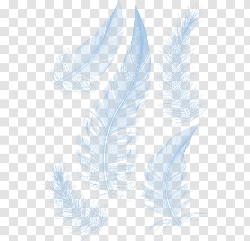 White Feather - Ganso - Feathers Transparent PNG
