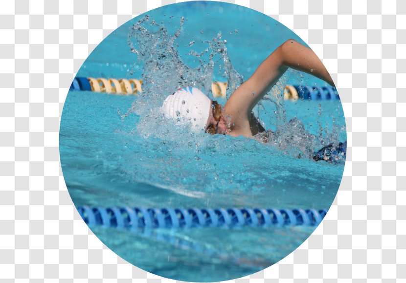 Freestyle Swimming Kalamunda Water Park Pool Leisure - Recreation Transparent PNG