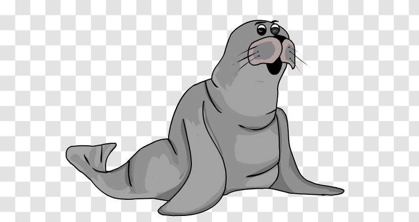 Earless Seal How To Draw Drawing Polar Bear - Marine Mammal Transparent PNG