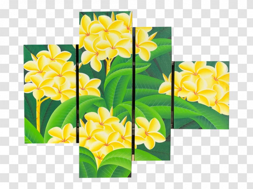 Floral Design Narcissus Petal Transparent PNG