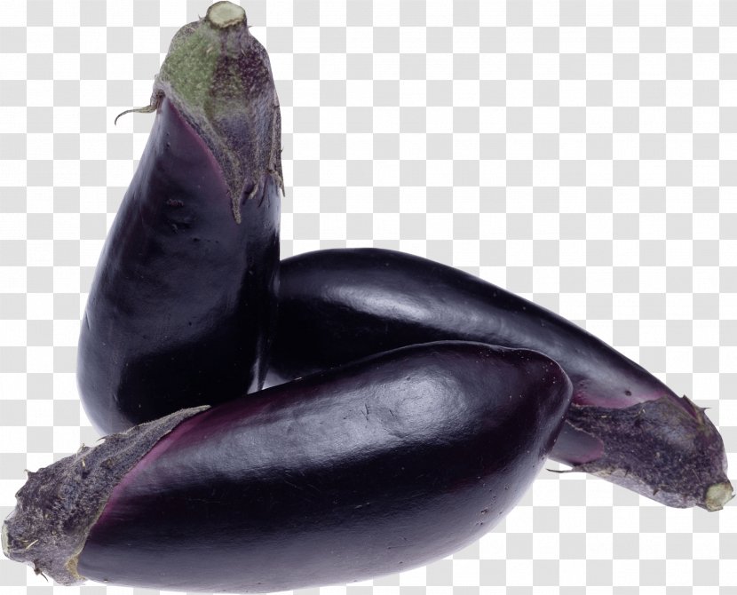 Eggplant Vegetable Food Scallion - Marine Mammal - Images Download Transparent PNG