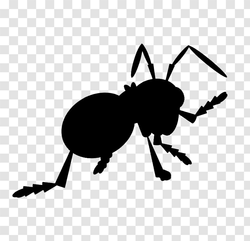 Ant Beetle Clip Art Character Silhouette - Pest - Ground Transparent PNG