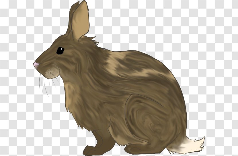 Hare Domestic Rabbit Animal Mammal - Figure - No Button Transparent PNG