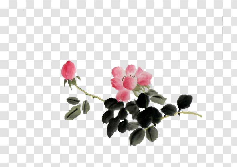 Petal Rose Family Transparent PNG