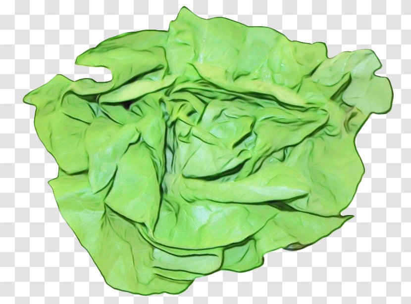 Green Leaf Background - Wild Cabbage - Flower Iceburg Lettuce Transparent PNG