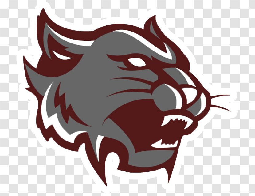 Mount Vernon Senior High School Wildcat National Secondary - Logo Transparent PNG