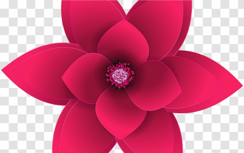 Clip Art Petal Flower Deco Borders - Pink Flowers - Summer Blooming Transparent Transparent PNG