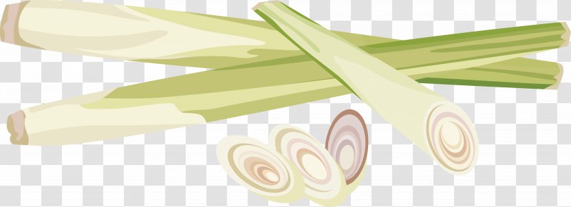 Watercolor Painting Scallion Allium Fistulosum - Food - Painted Green Onions Transparent PNG