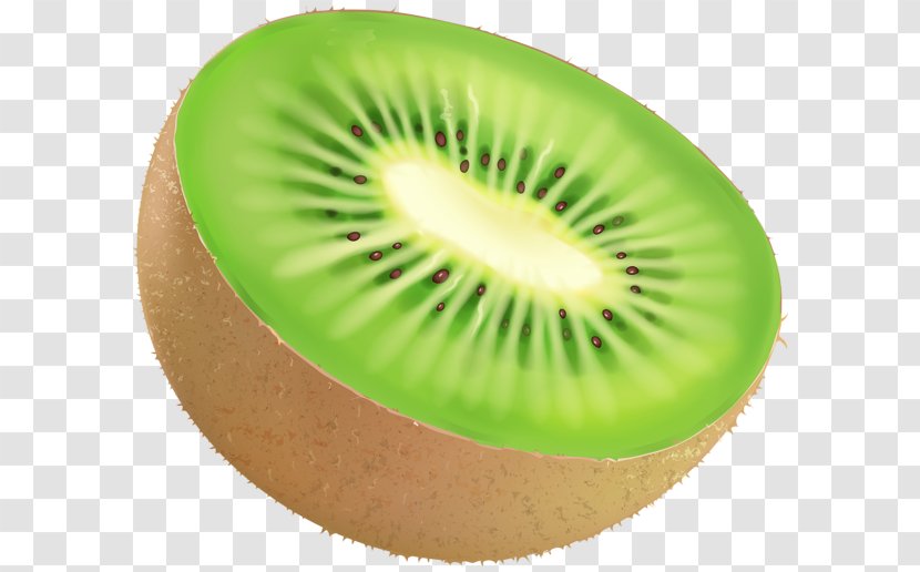 Vector Graphics Kiwifruit Illustration Image - Stock Photography - Berries Flyer Transparent PNG