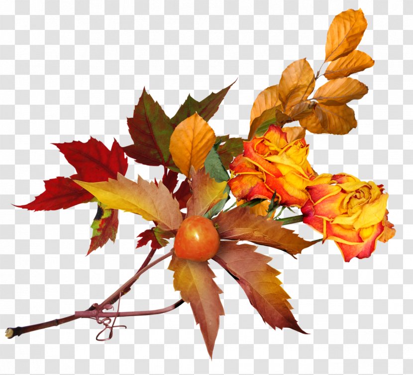 Flower Desktop Wallpaper Clip Art - Petal - Autumn Leaves Transparent PNG
