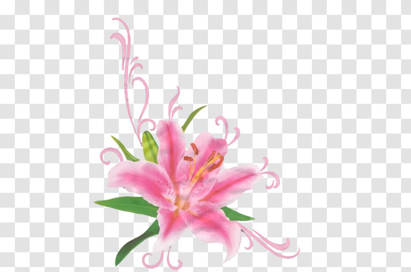Cut Flowers Lilium Flower Bouquet Clip Art Transparent PNG