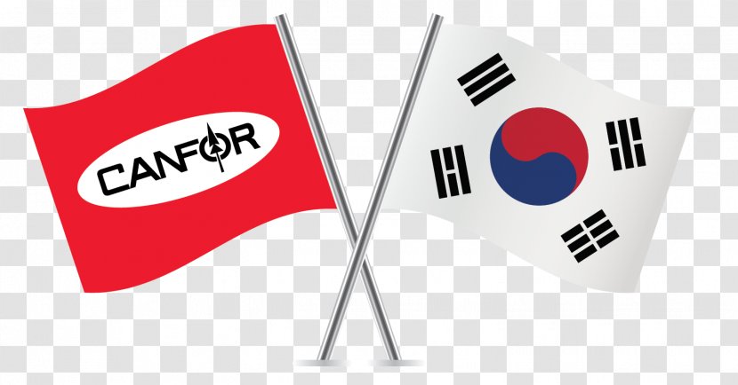 Flag Of South Korea The United States National - Costa Rica - Pulp Transparent PNG
