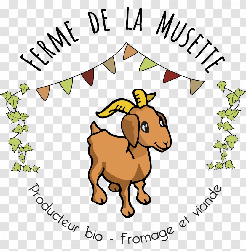 Agriculture Animal Husbandry Llama Rove Goat Bauernhof - Wildlife - Bonjour Le Monde Transparent PNG