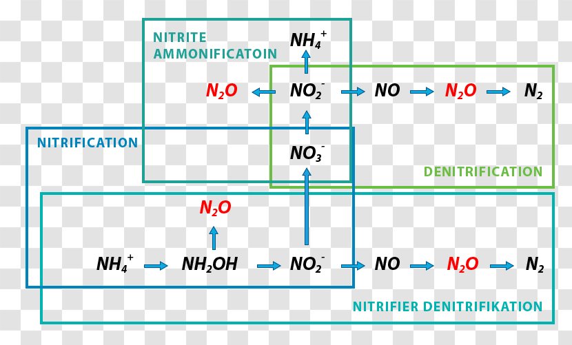 Simultaneous Nitrification–denitrification Denitrifying Bacteria Nitrous Oxide - Moving Bed Biofilm Reactor Transparent PNG