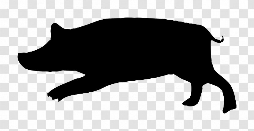 Pig Cartoon - Snout - Tail Blackandwhite Transparent PNG